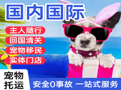 奇台江机场空运国际宠物托运 【国